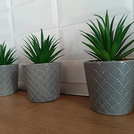 Oana Sunrise - Mamaia Nord *